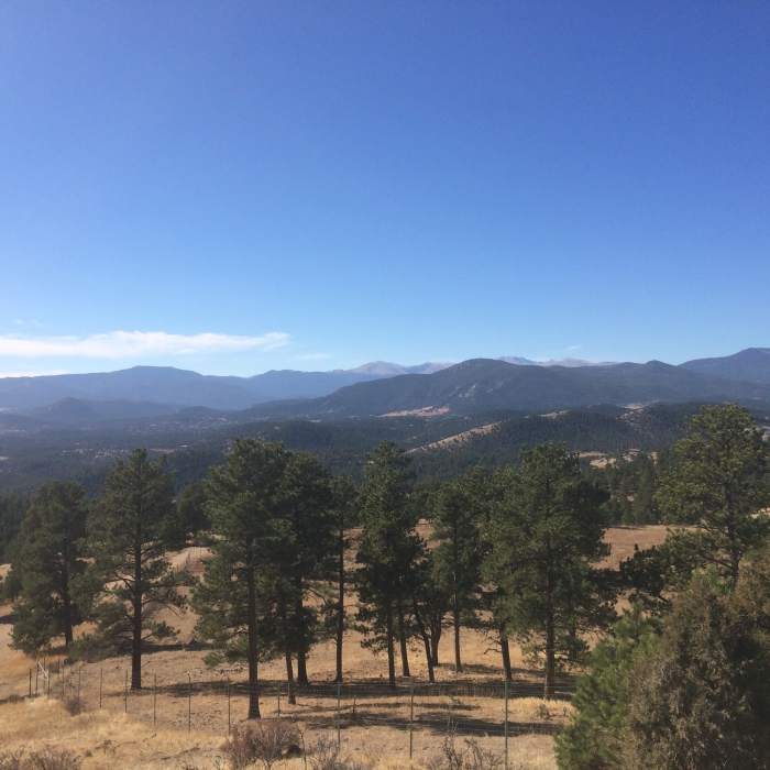 Near American Bison Trail