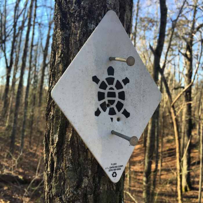 Near Sheltowee Trace NRT - Section 24 South