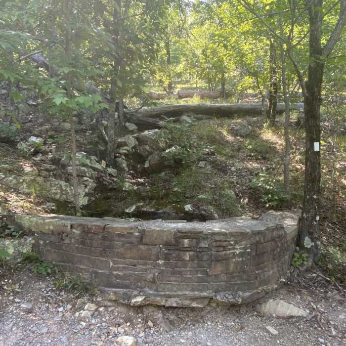 Brick wall Near Hot Springs Mountain Loop