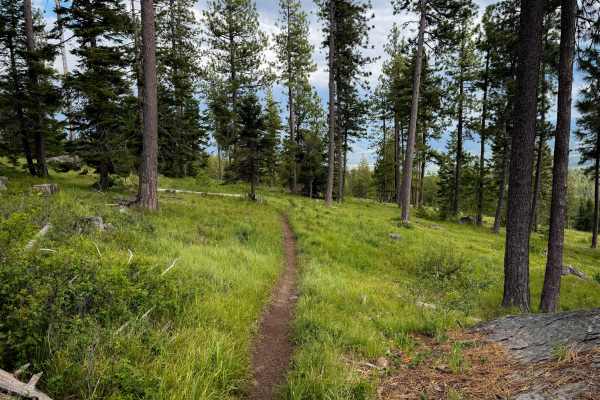 Hillside Ride - Trail 327 