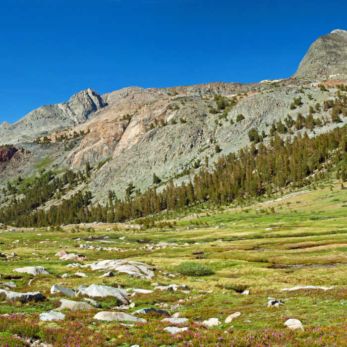 Near Goddard Canyon Trail