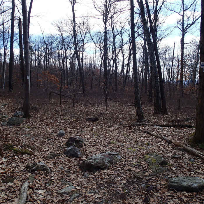 Jacobs Ladder Trail and Appalachian Trail junction Near Jacobs Ladder Trail