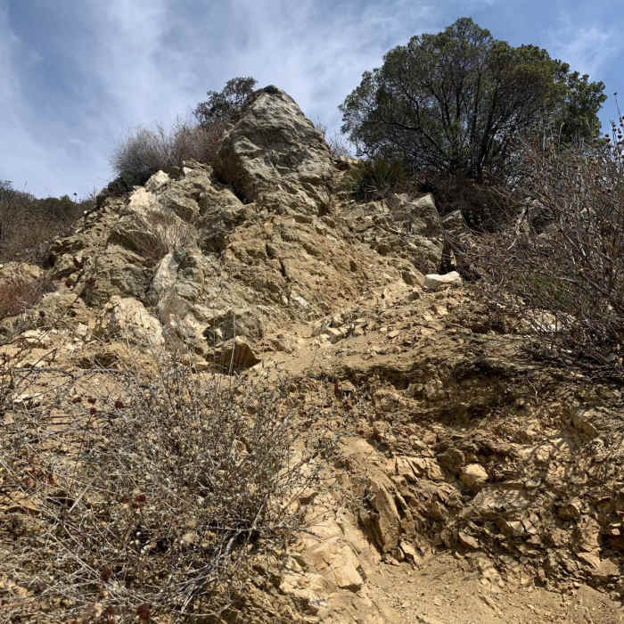 Near Chaney Trail Loop