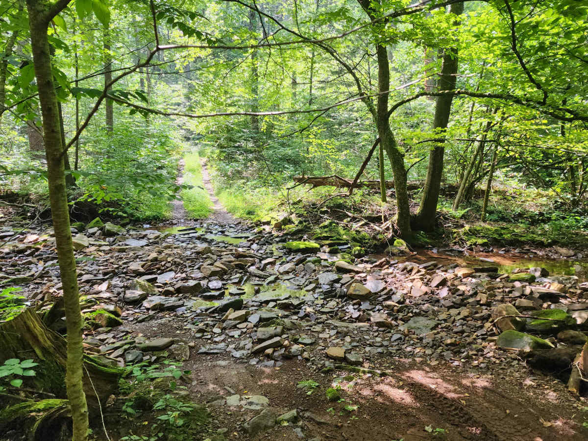 Feedstone Mountain photo 3