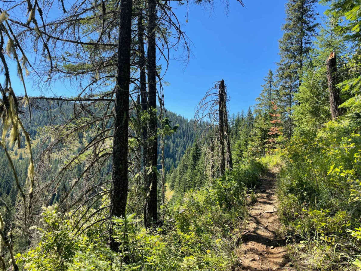 Devil Peak photo 3