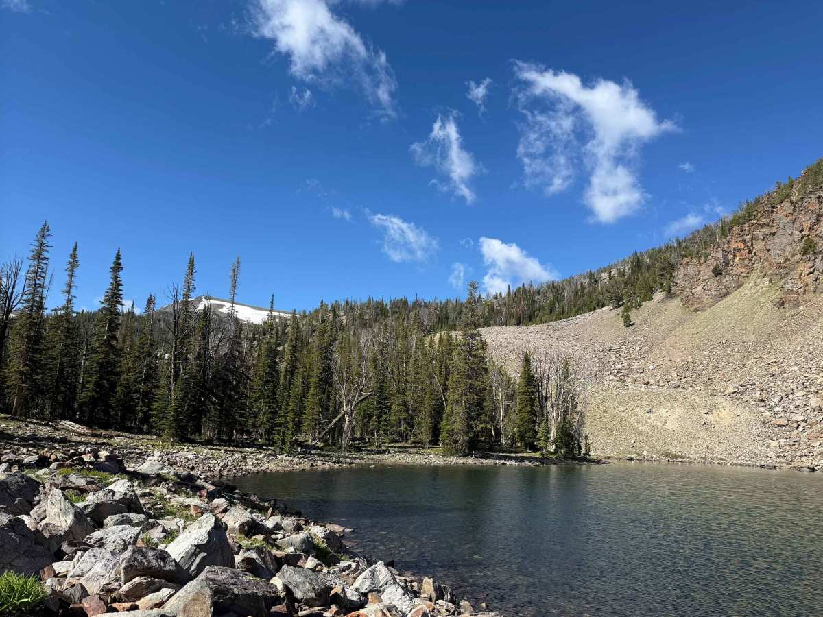 Patterson Trail photo 4
