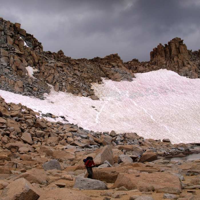 Near Lamarck Col