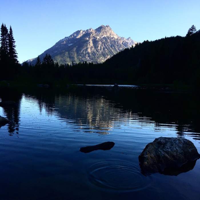 Near Trapper Lake Trail