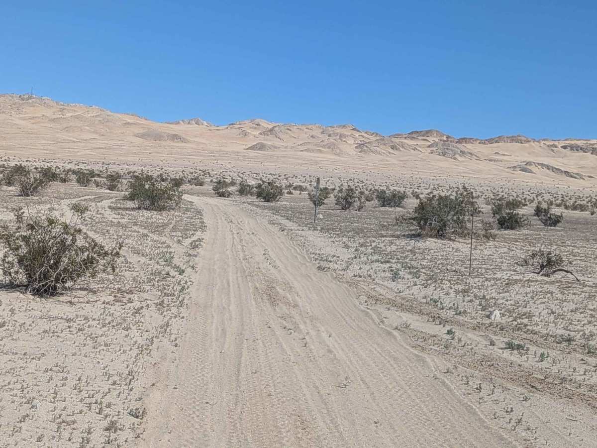 BLM 201 photo 4