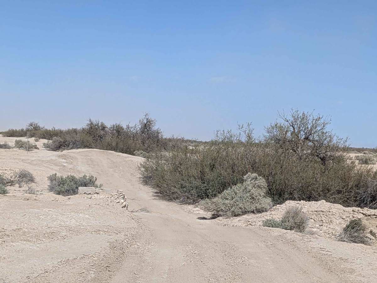 Old Kane Springs Road East - BLM 084 photo 6
