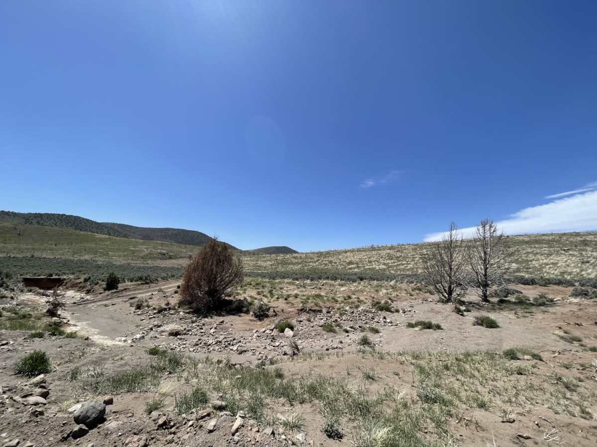 North Hills To Old Modena Cutover trail photo