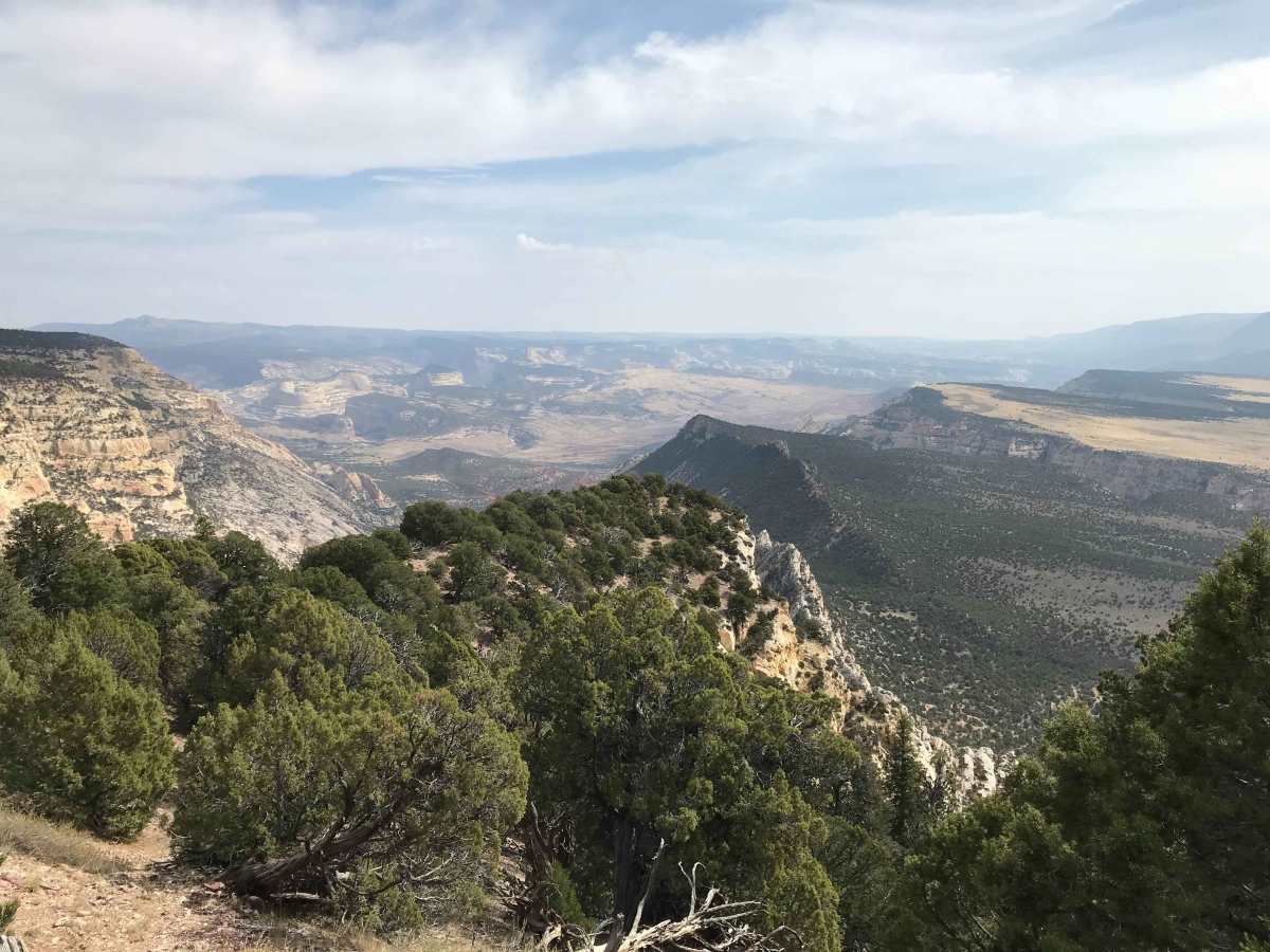 Echo Park Road trail photo