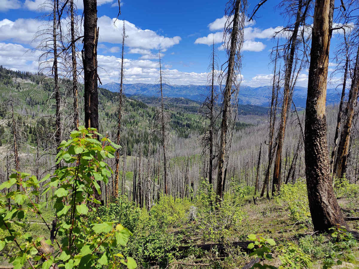 Bear Hole trail photo