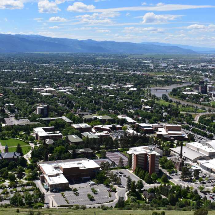 Near Missoula's M Trail