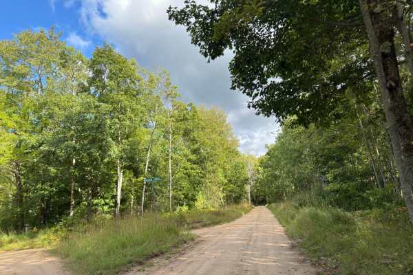 Seaton Creek - FS 9993