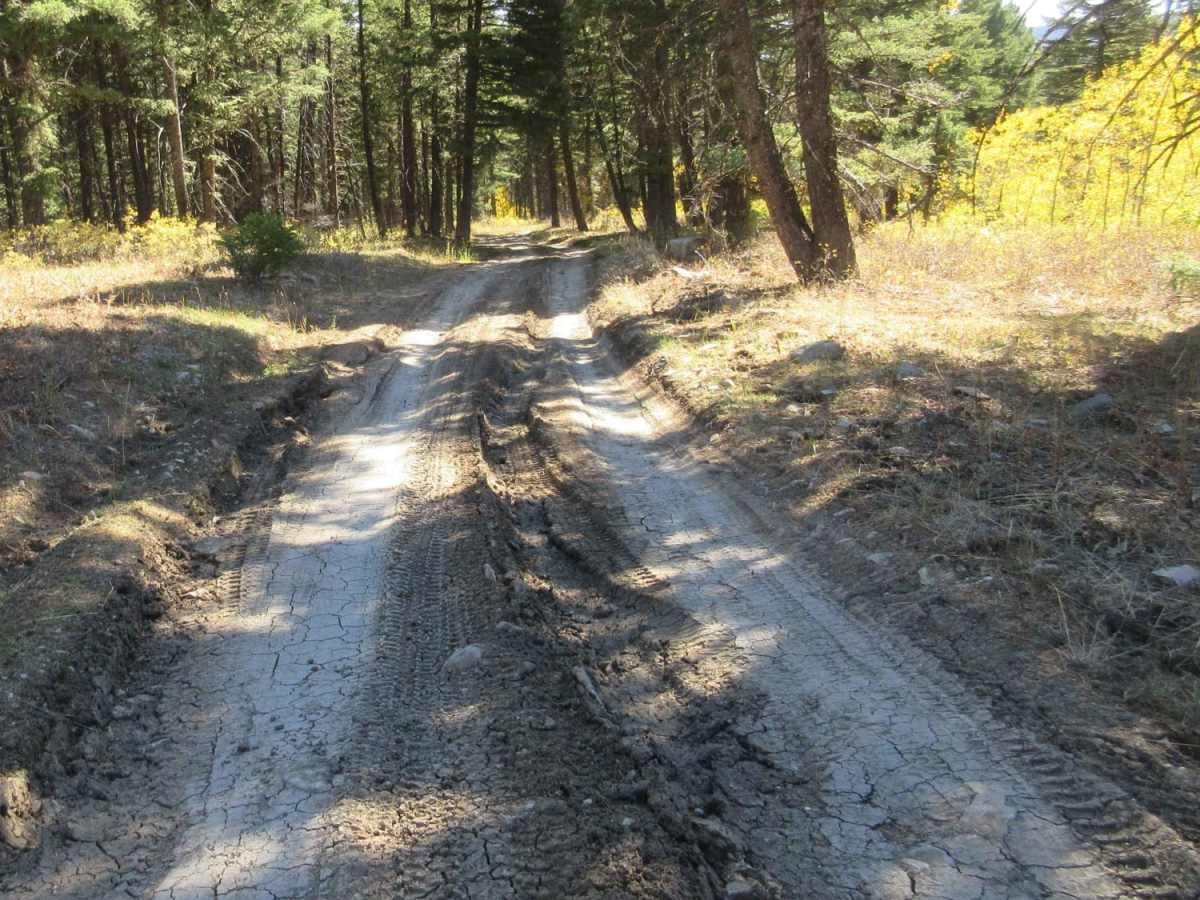 East Fork Dry Creek trail photo