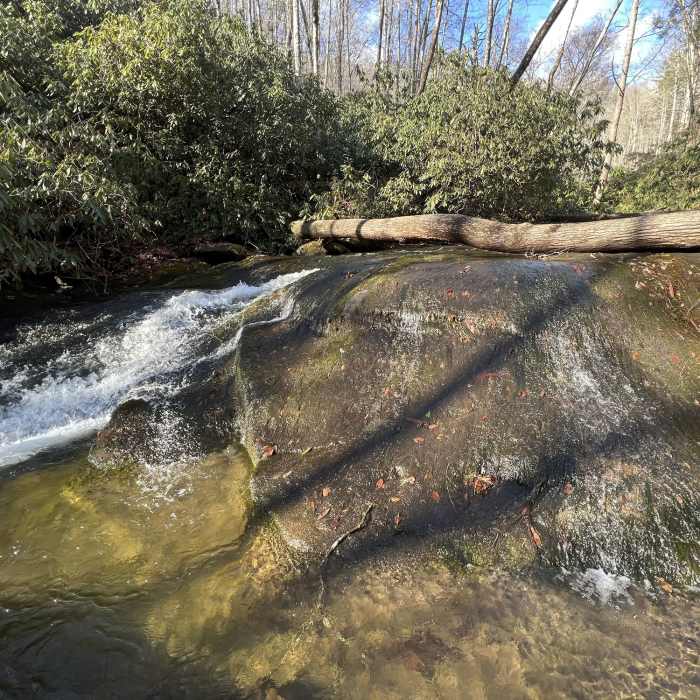 Near Twentymile Loop Trail