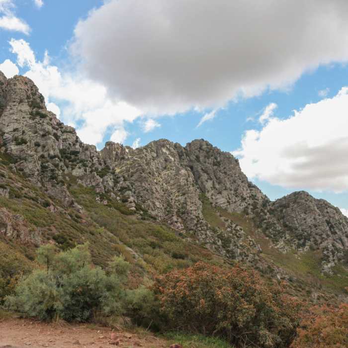 view from trail of 4 peaks rocks, trail splits in two directions, across the front or up the shoot (on the left peak). Near Brown's Peak