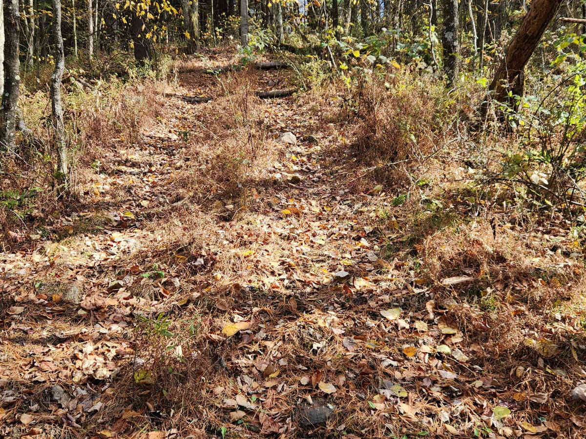 OHV 15 - Rock Run Recreation Area photo 4