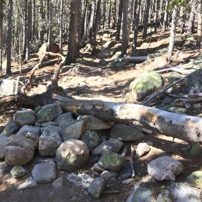 Near South Saint Vrain Trail (#909)