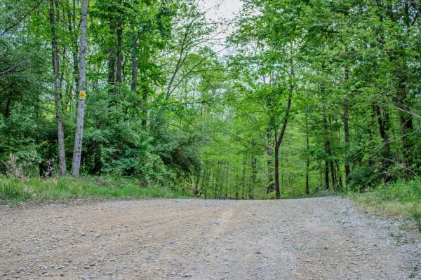 Phillips Cemetery Road 