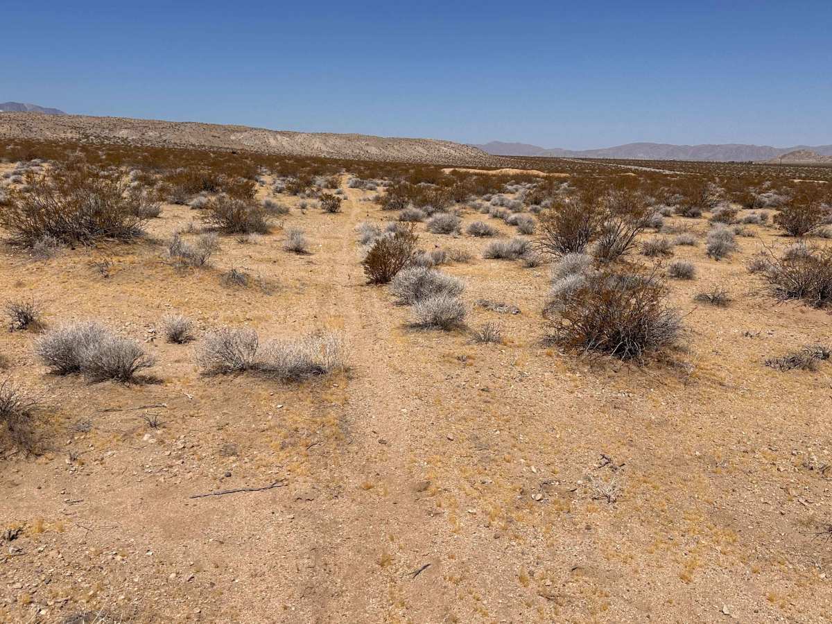 Burro Flats photo 2