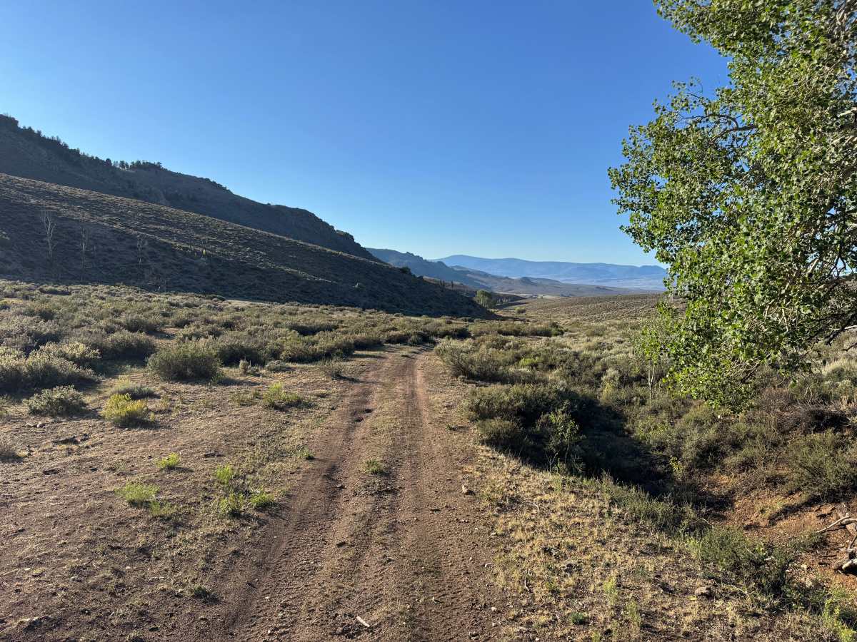 Big Gulch Road photo 3
