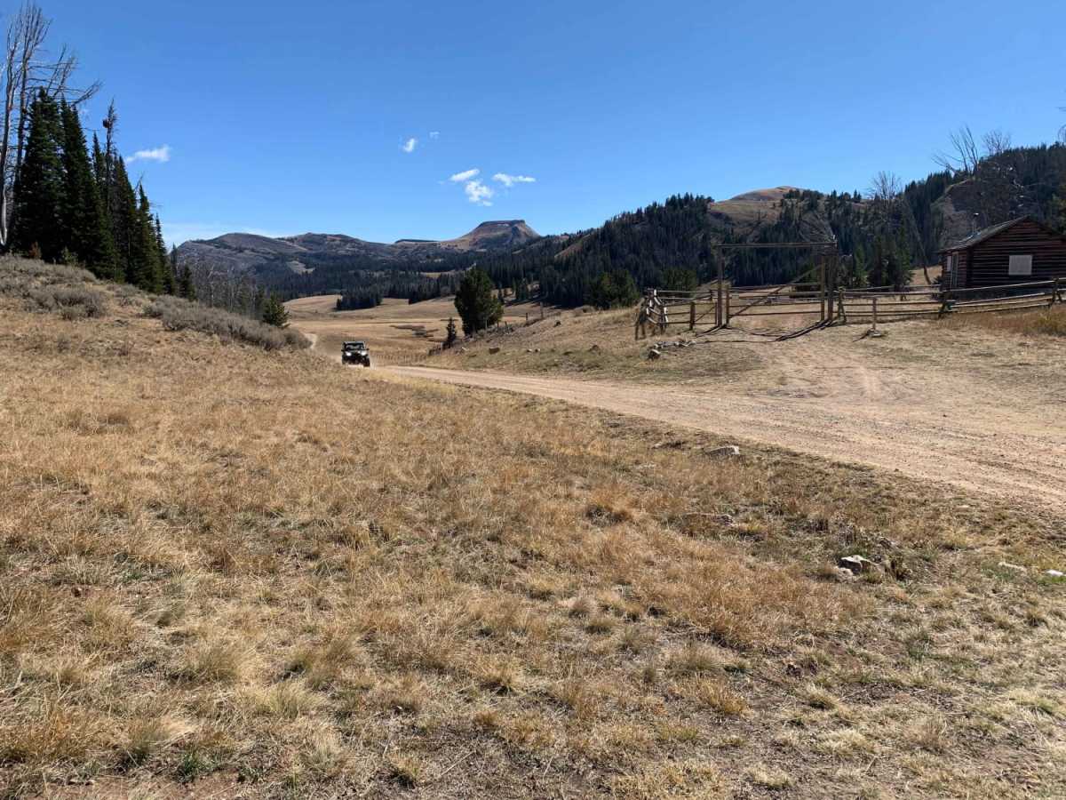 Gravelly Range Road (FS290) (Partial) photo 3