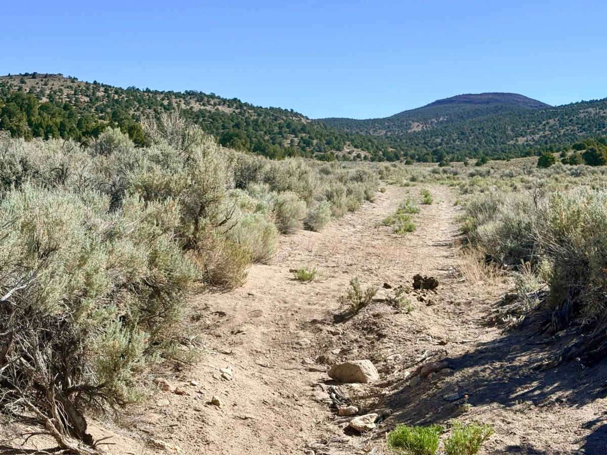 Horse Heaven Canyon photo 3