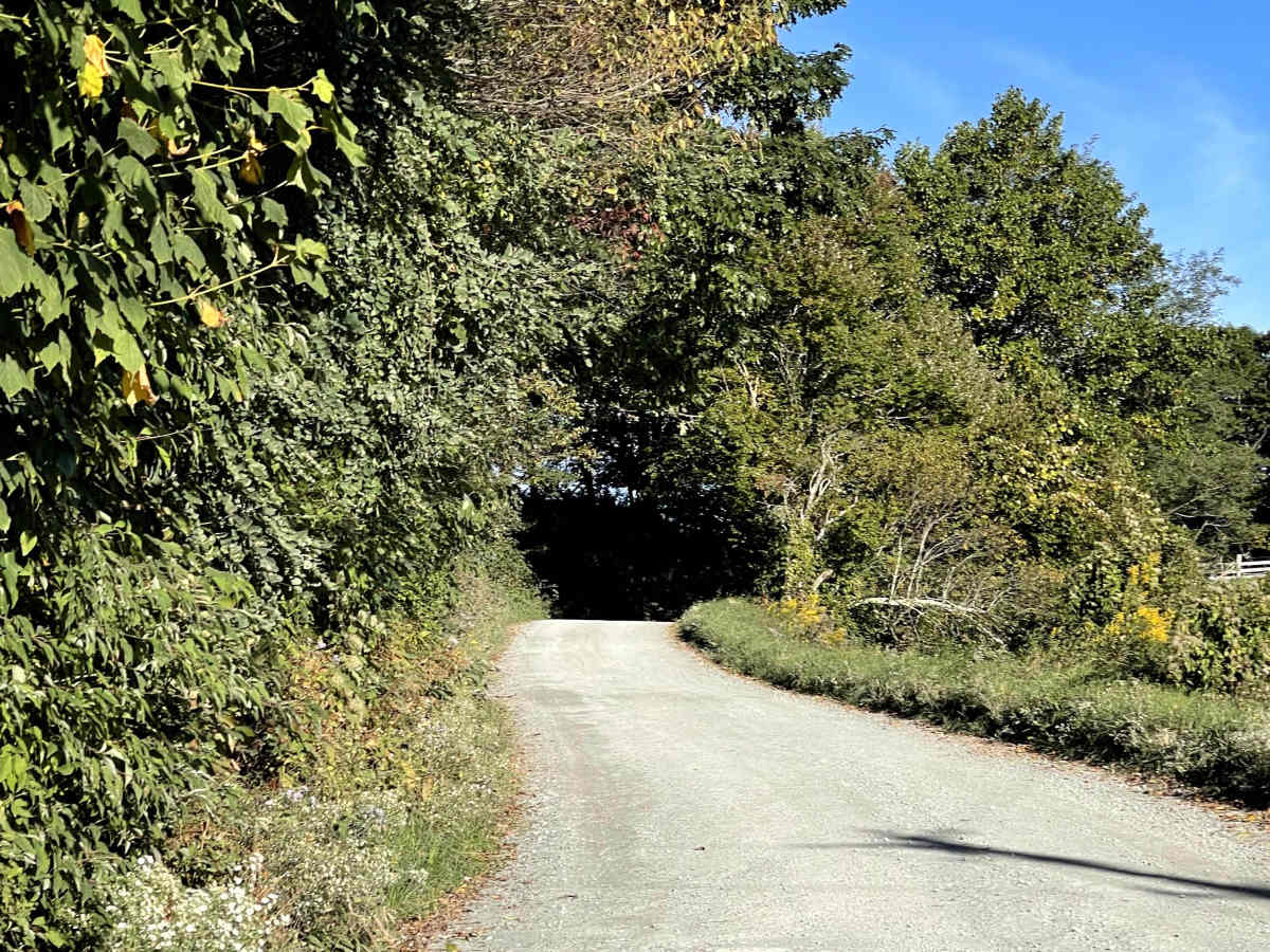 Andy Hicks Road photo 3