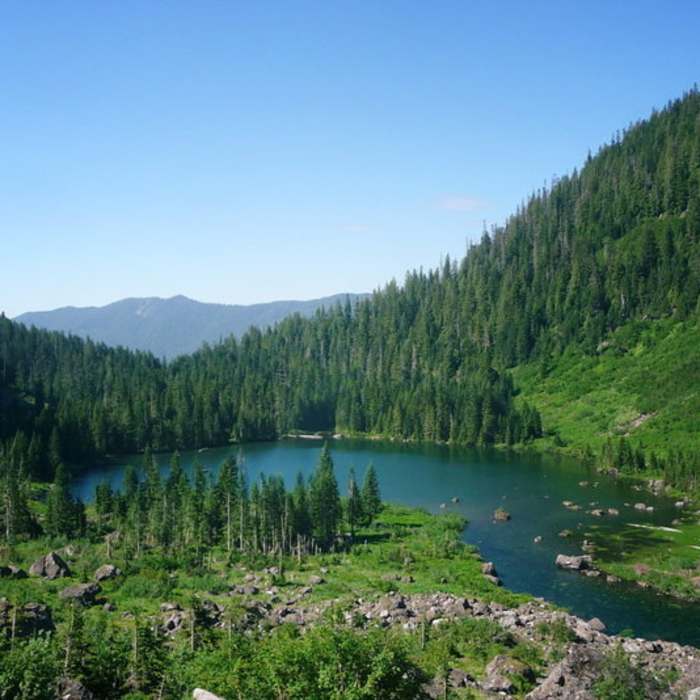 Near Heather Lake Trail