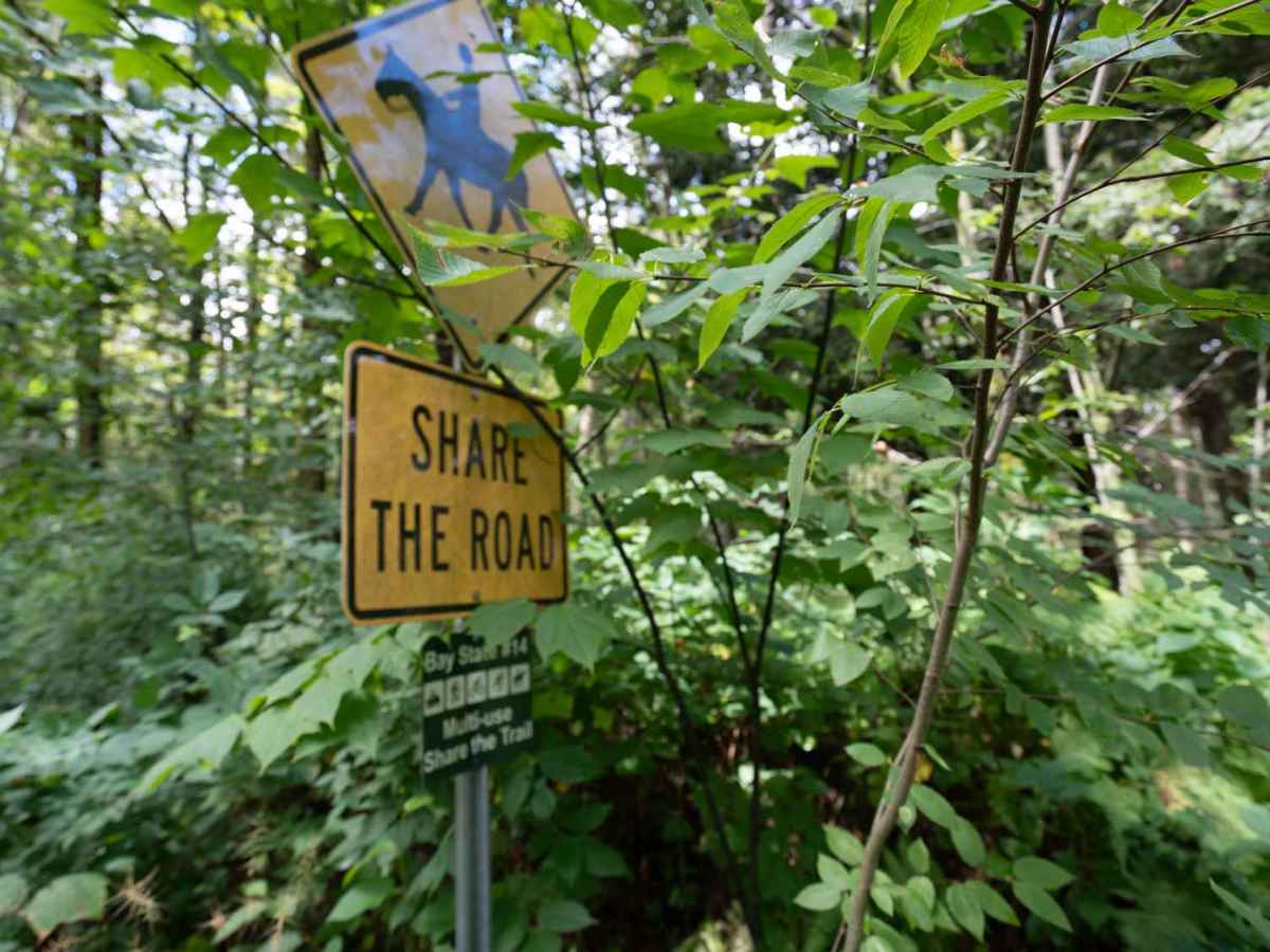 Bay State Road photo 5