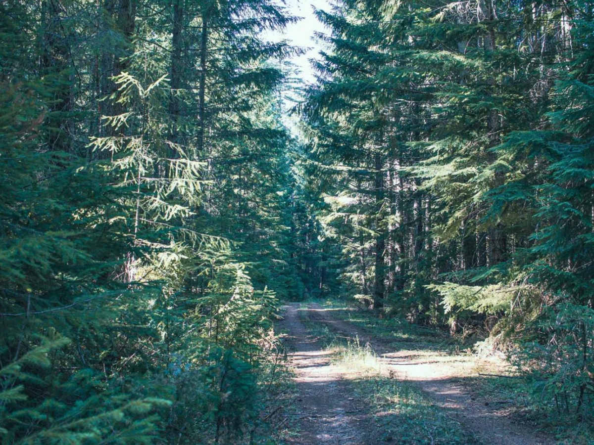 Panther Ridge photo 5