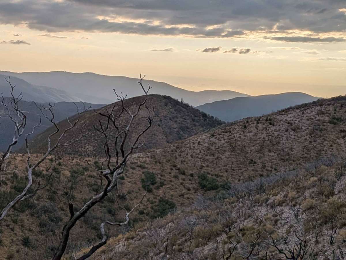 Buffalo Gulch Road photo 3