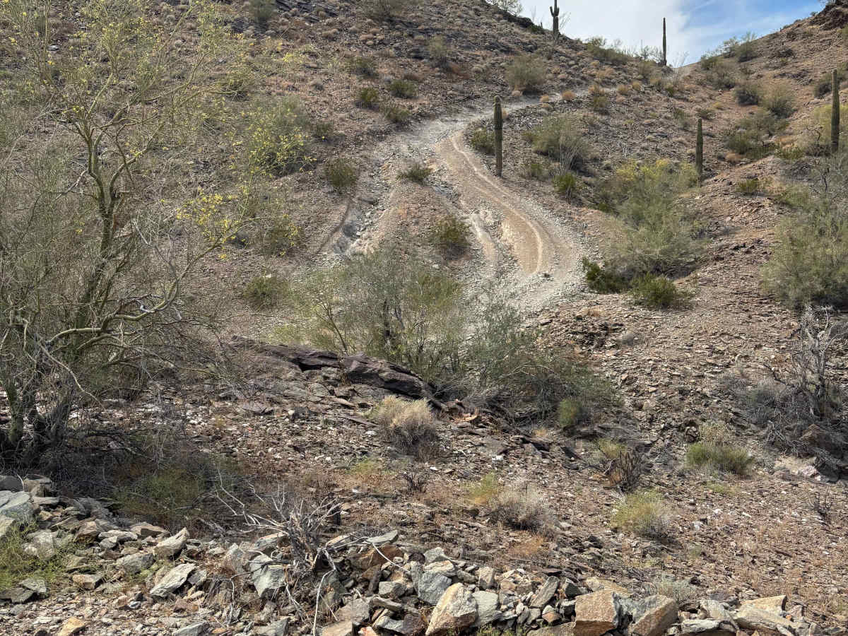 BLM 0127C photo 6