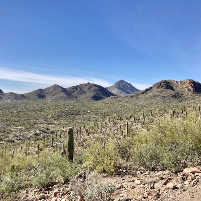 Near Rock Wren Trail