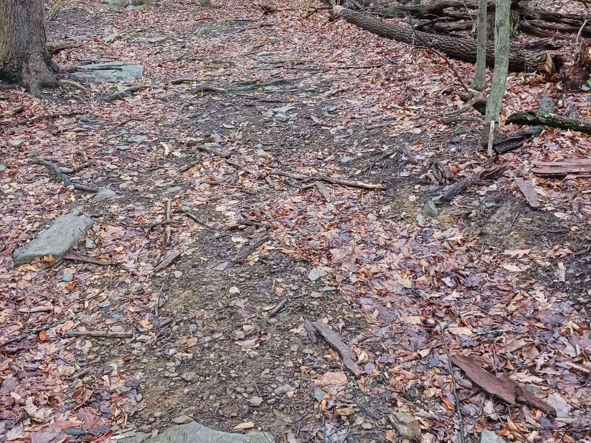 OHV 46 - Rock Run Recreation Area photo 3