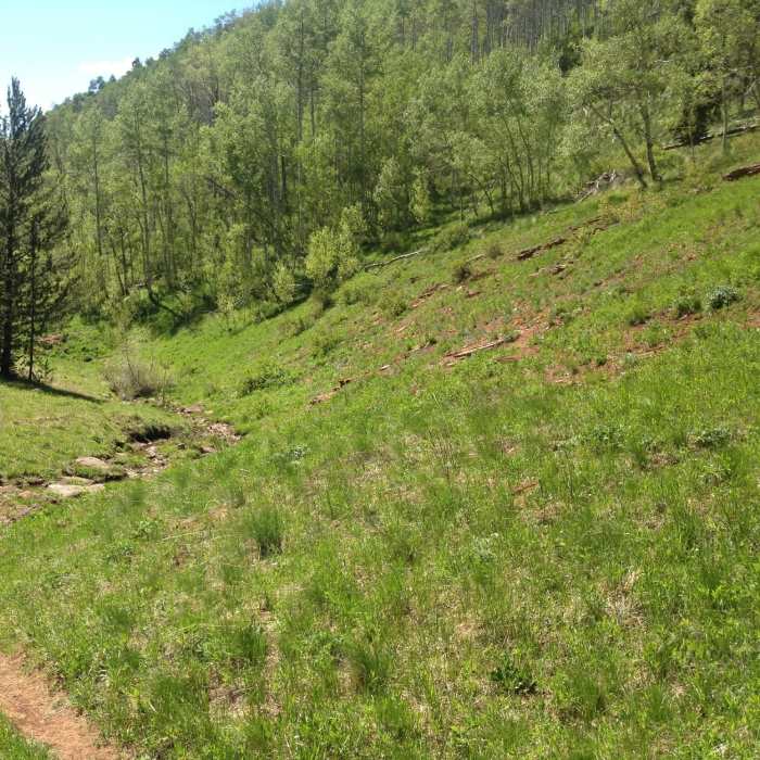 Near Buck Creek