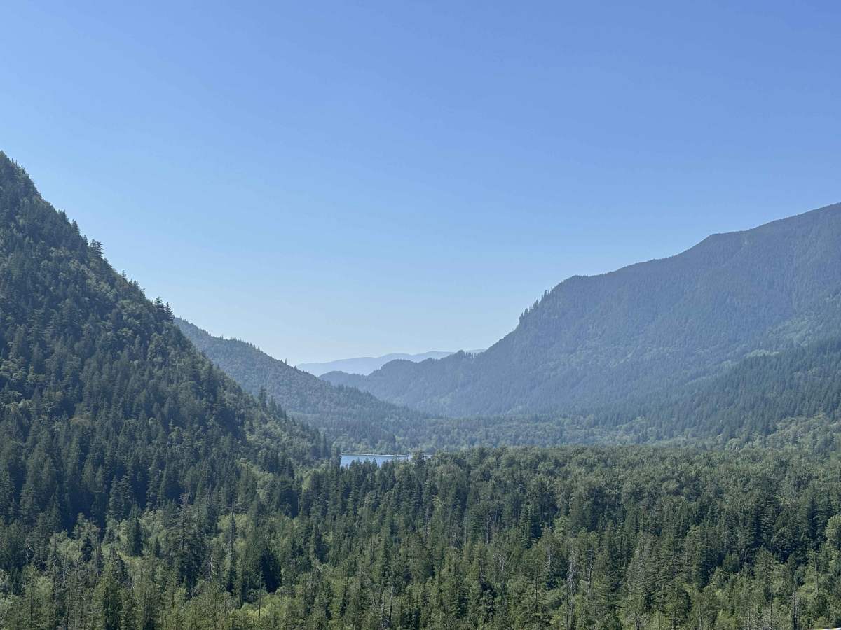 Deer Lake Viewpoint trail photo