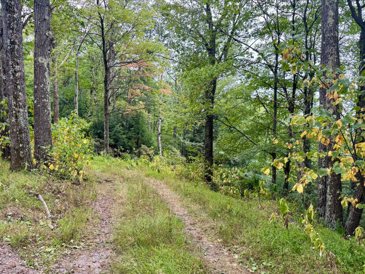 Montour Road photo 5