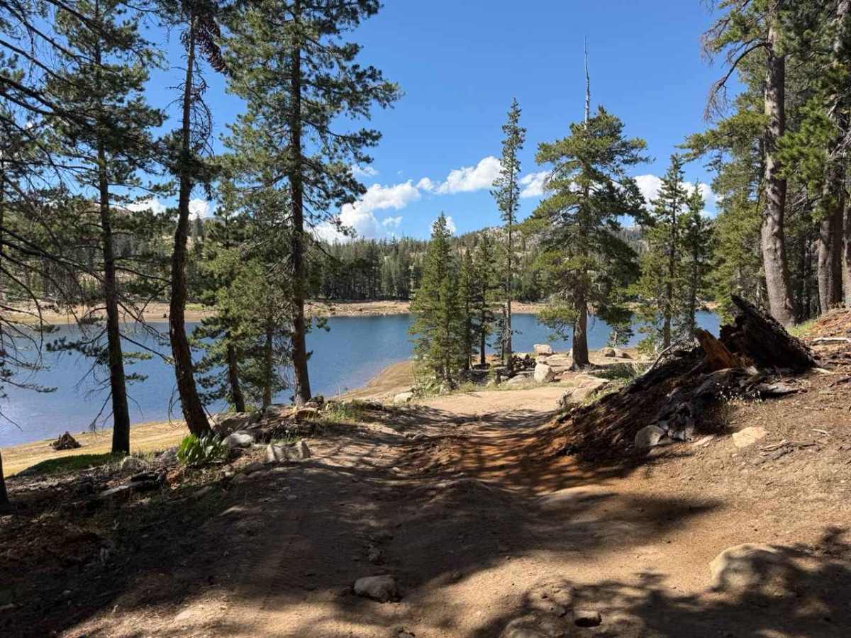 Tamarack Lake Spur - FS 31097A trail photo