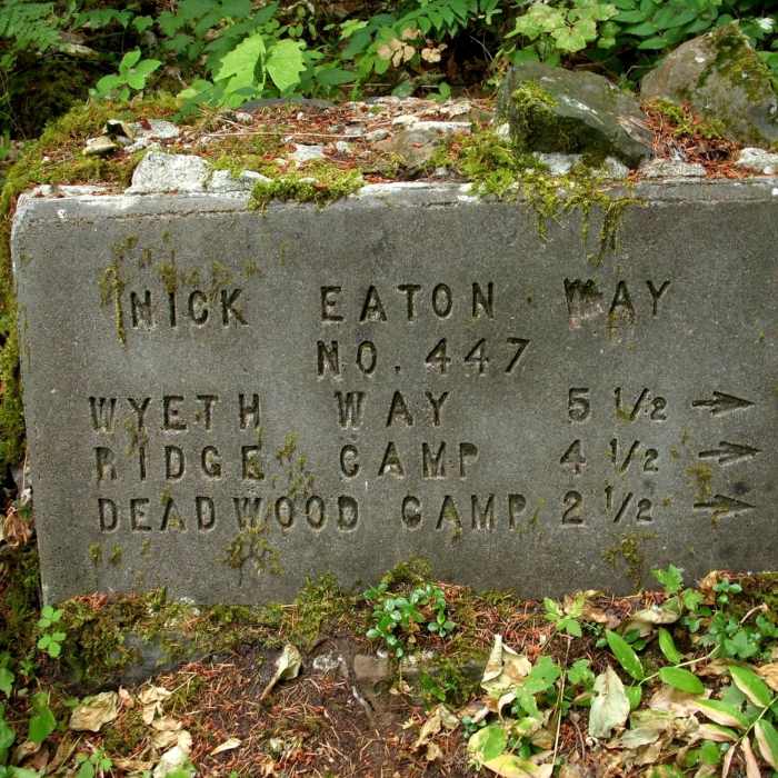 Near Herman Creek Trail #406