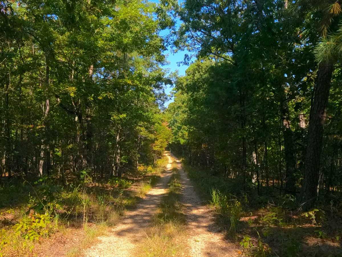 Beasley Hollow - FS 2594 photo 4