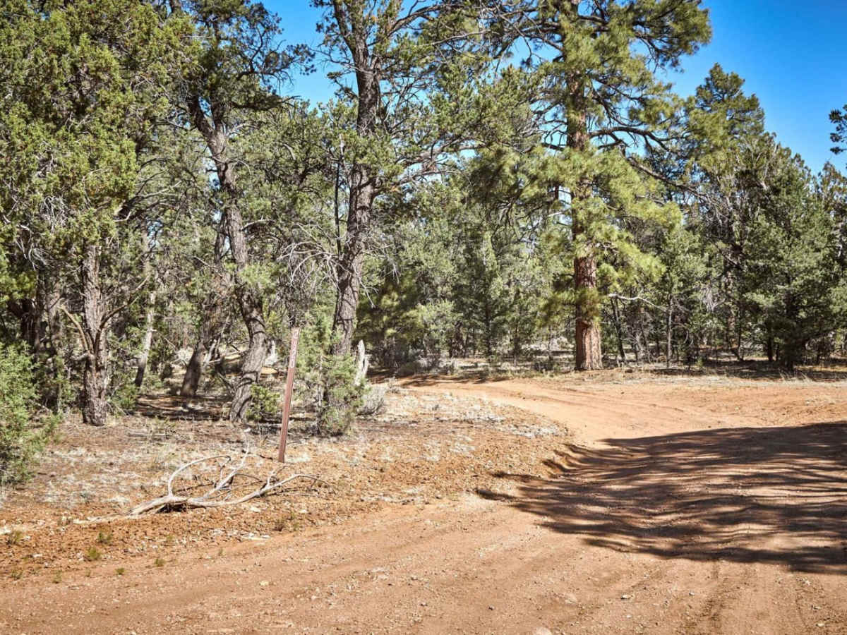 FR 2620 trail photo