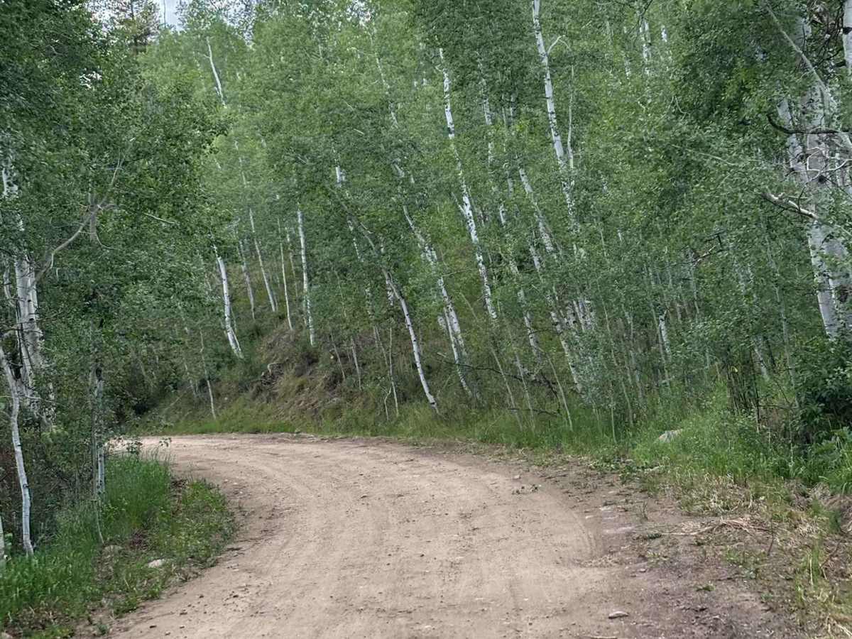 Nast Lake Access photo 5