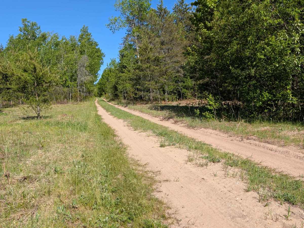 Huntfield Trail photo 6