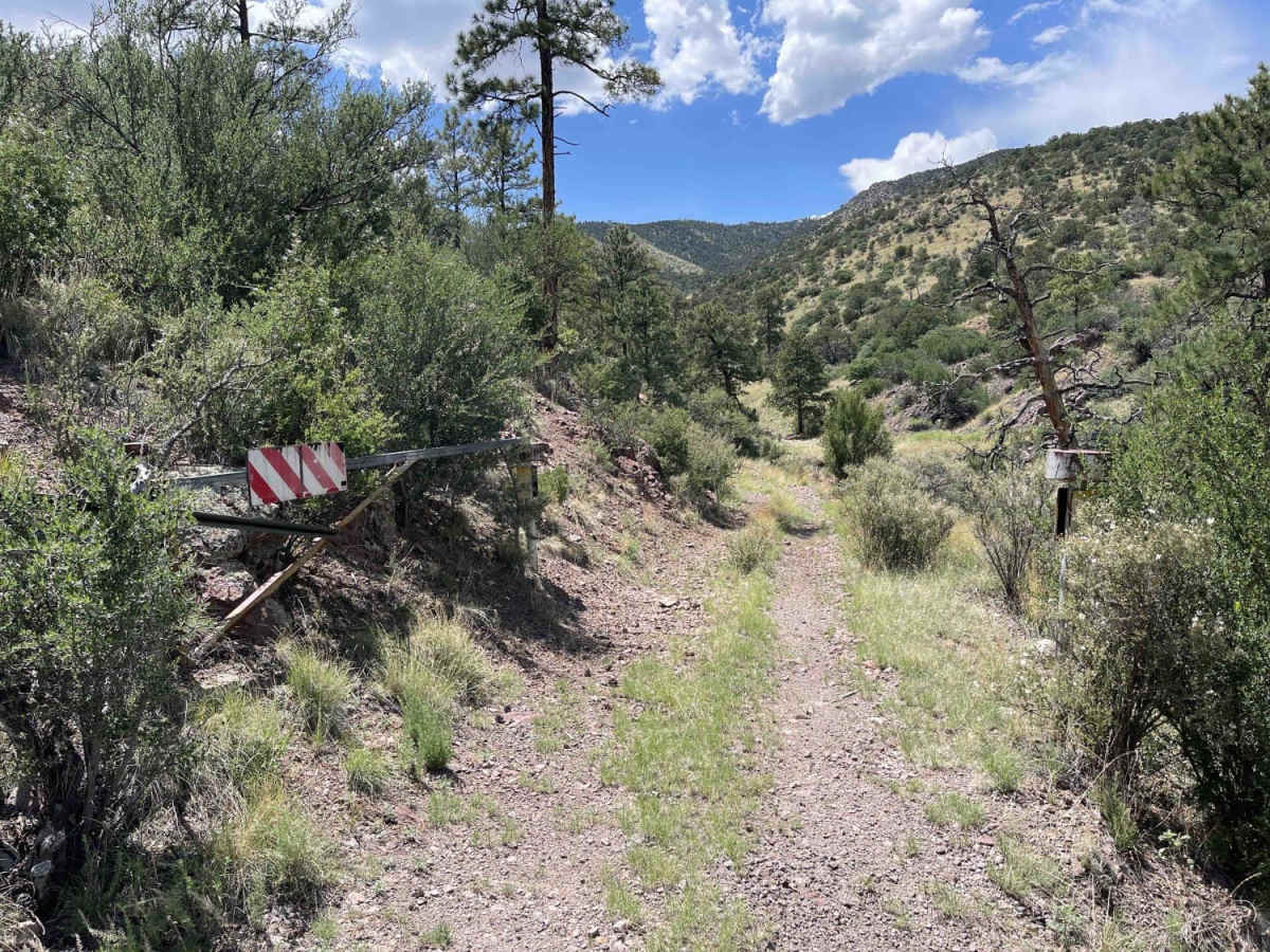 Molino Peak Trail photo 2