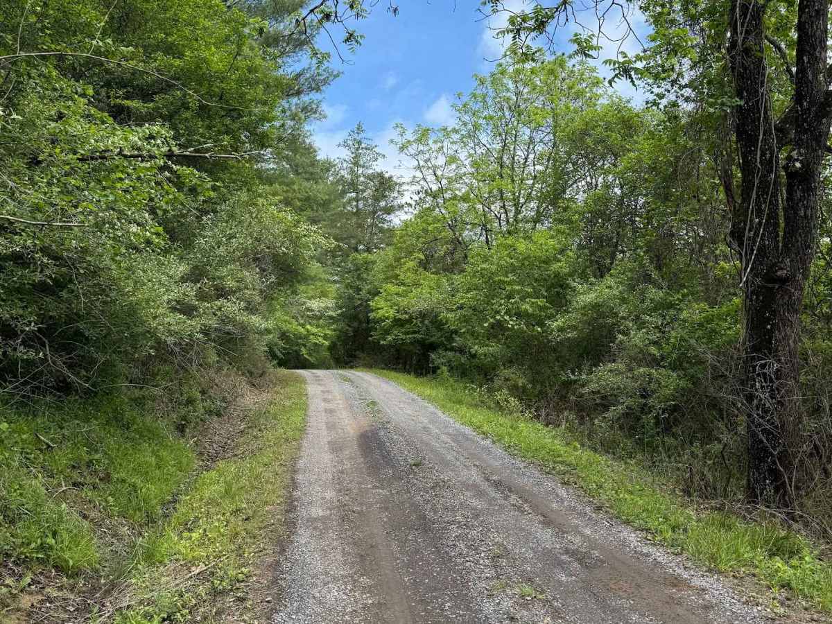 Hidden Valley Road photo 4