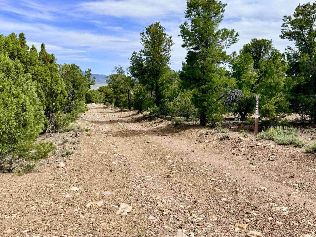 South Danville Creek Road - FS 44426 photo 4