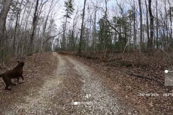 Water Gauge Road - FS 511